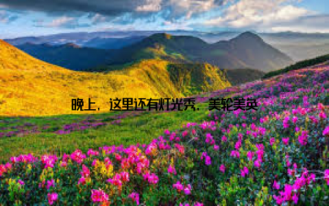 晚上, 这里还有灯光秀, 美轮美奂