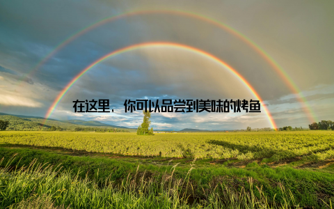 在这里, 你可以品尝到美味的烤鱼