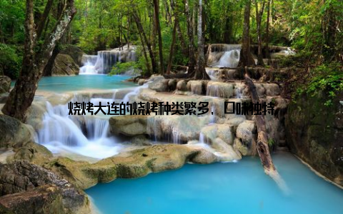 烧烤大连的烧烤种类繁多, 口味独特