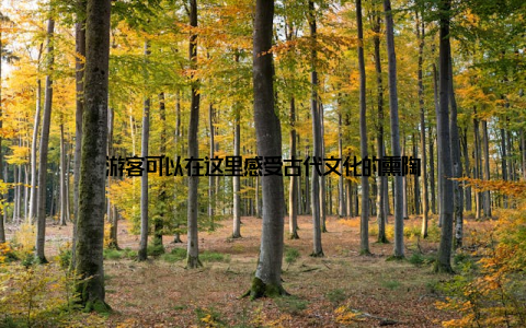 游客可以在这里感受古代文化的熏陶