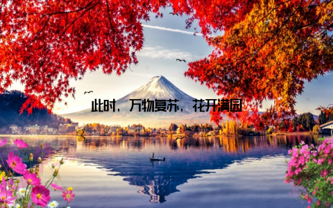 此时, 万物复苏, 花开满园