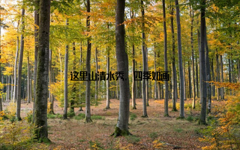 这里山清水秀, 四季如画