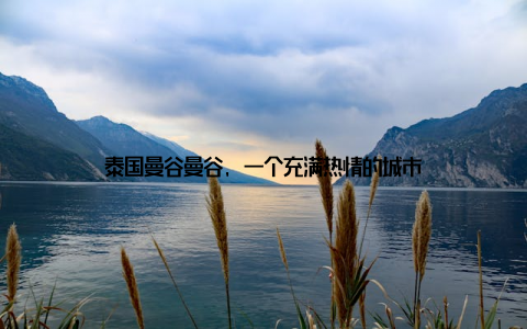 泰国曼谷曼谷, 一个充满热情的城市
