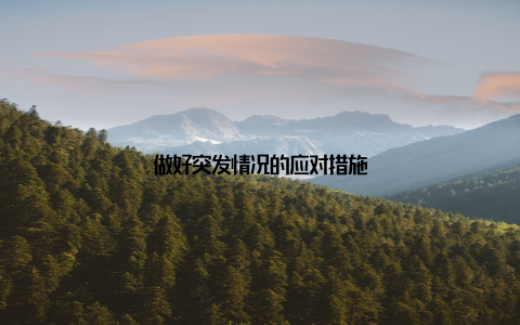 做好突发情况的应对措施