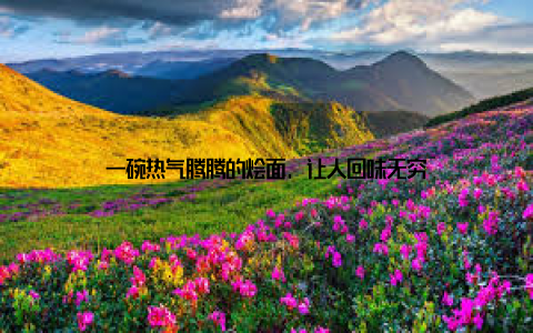 一碗热气腾腾的烩面, 让人回味无穷