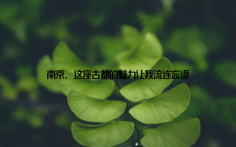 南京, 这座古都的魅力让我流连忘返